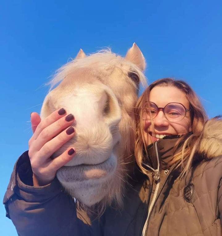 Thérapie équine Les Hogues