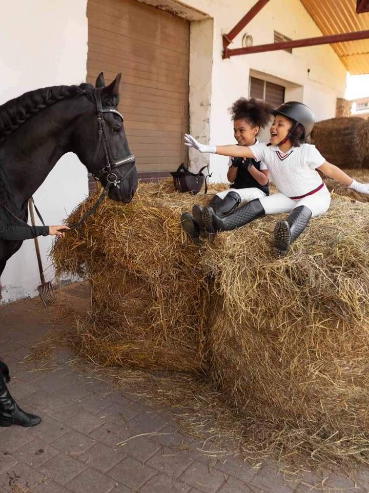 Traitement équithérapeutique pour enfants Les Hogues