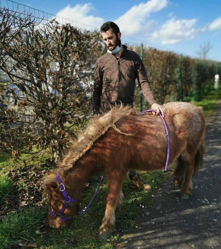 Équithérapie Les Hogues