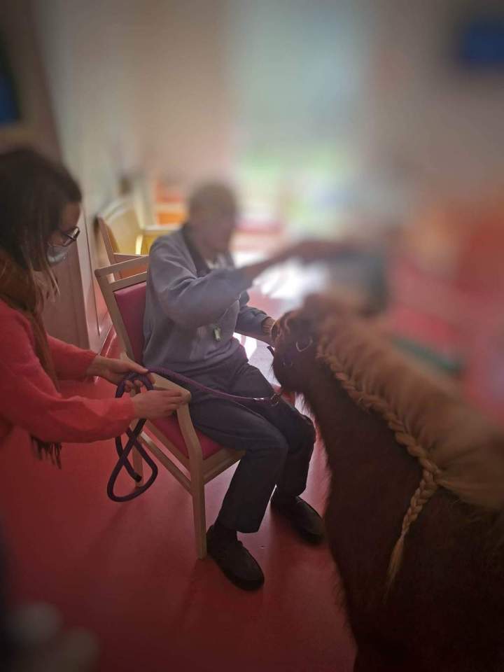 Équithérapie pour personnes âgées Les Hogues