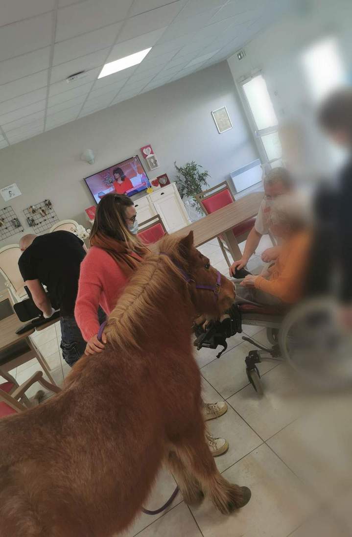 Équithérapie pour personnes atteintes de handicap Les Hogues