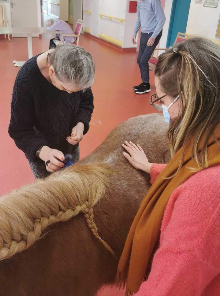 Soin psychique médiatisé par le cheval pour autistes Les Hogues