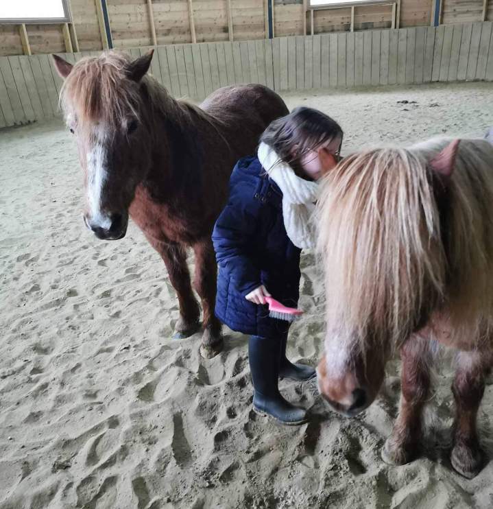 Équithérapie pour les enfants Les Hogues