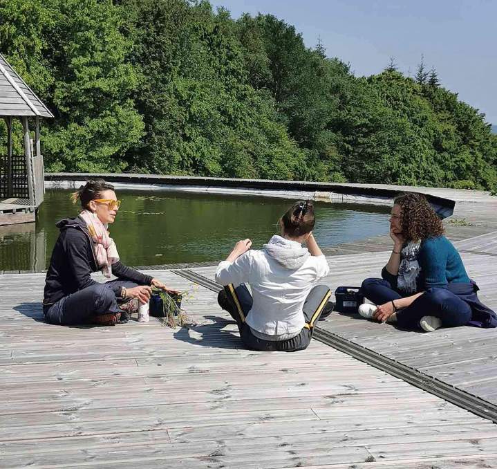 Séances d'équithérapie en groupe Les Hogues