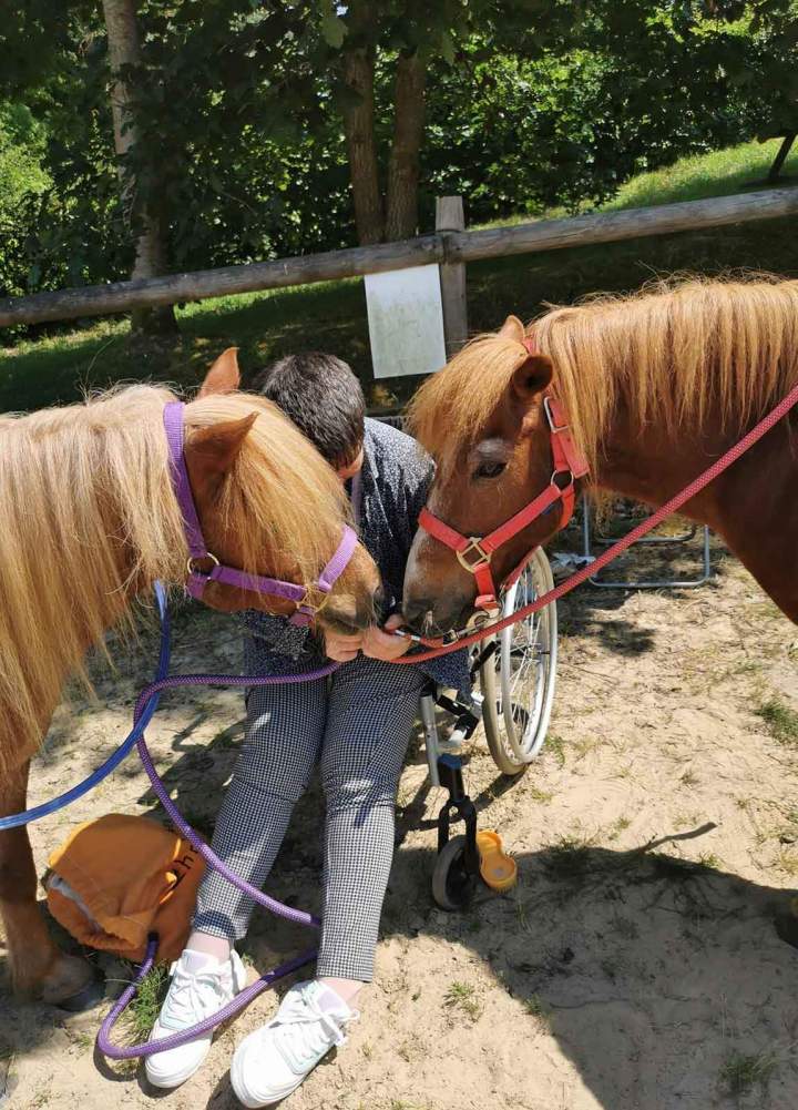 Équithérapie pour personnes atteintes de handicap Les Hogues