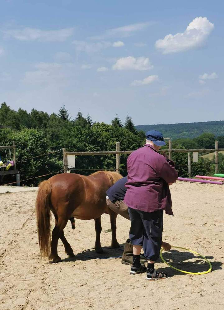 Équithérapie pour autiste Les Hogues