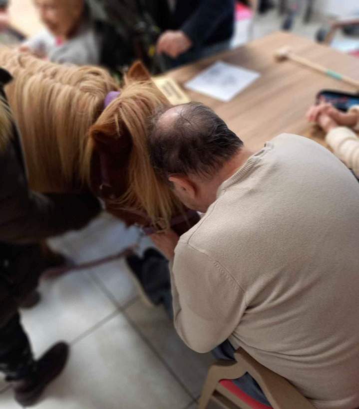 Équithérapie pour autiste Les Hogues