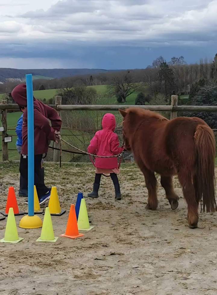 Traitement équithérapeutique pour enfants Les Hogues