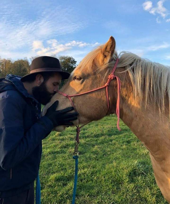 Équithérapie avec les chevaux Les Hogues