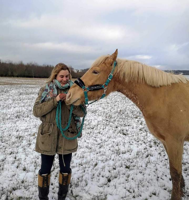 Équithérapie Les Hogues